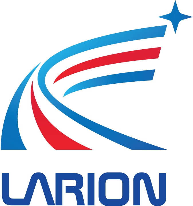LARION CONSULTING AND SOFTWARE DEVELOPMENT JOINT STOCK COMPANY